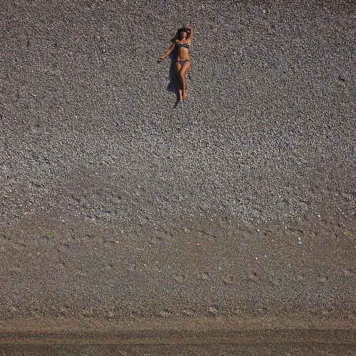 Photo #3631229