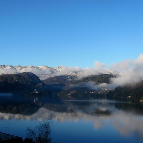 Photo #3631612