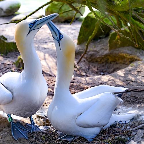 Photo #3632265