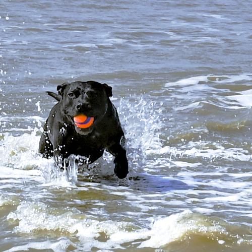 Photo #3632274