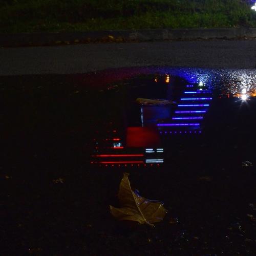 Photo #3632857