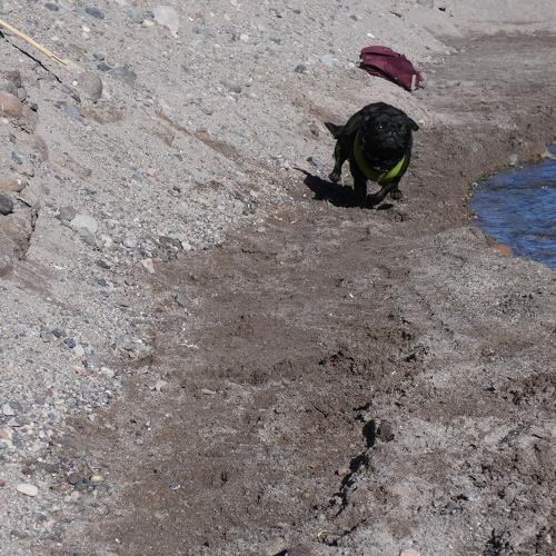 Photo #3633639