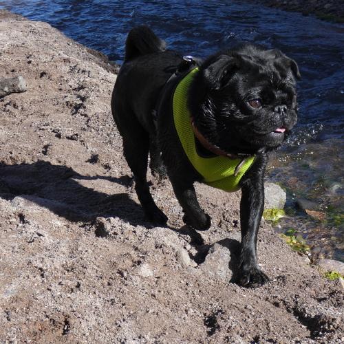 Photo #3633642