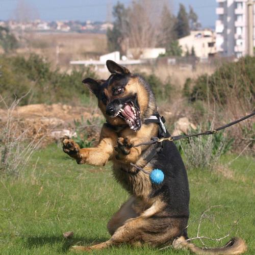 Photo #3633901