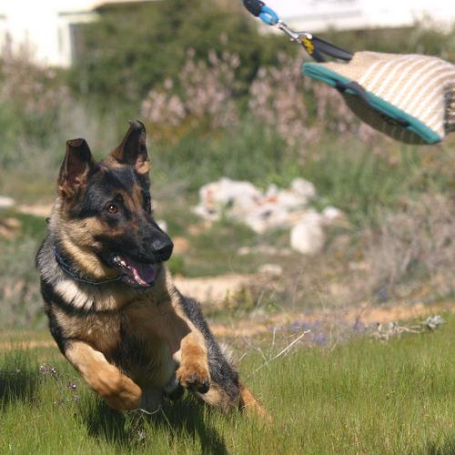 Photo #3633903