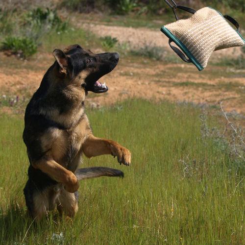 Photo #3633905