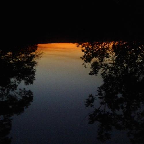Photo #3634229