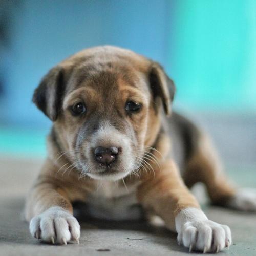 Photo #3634581