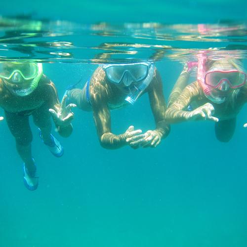 Photo #3634606