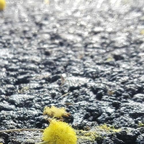 Photo #3634888