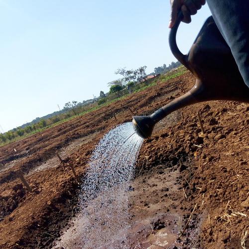 Photo #3635016