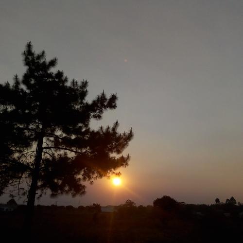 Photo #3635061