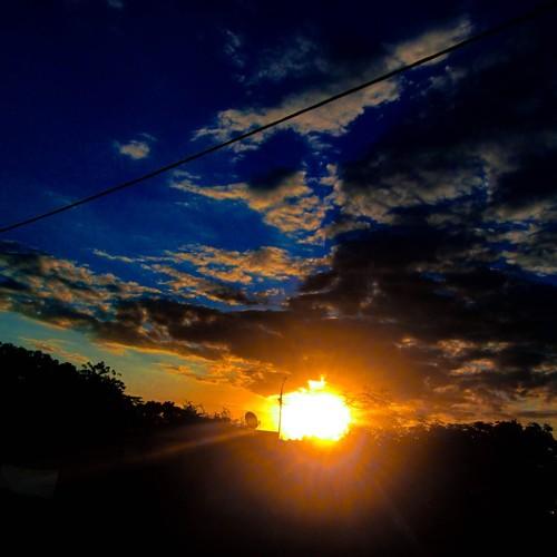 Photo #3635073