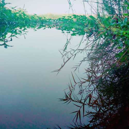 Photo #3635098