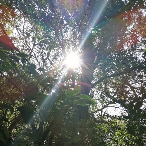 Photo #3635269