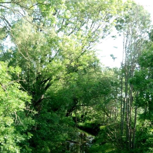 Photo #3635341