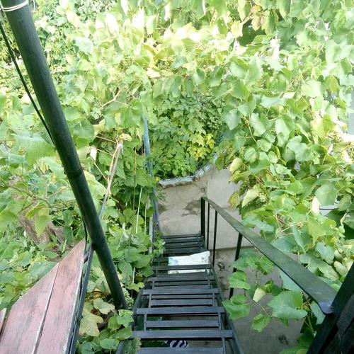 Photo #3635358