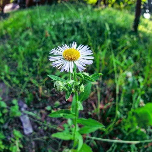 Photo #3635582