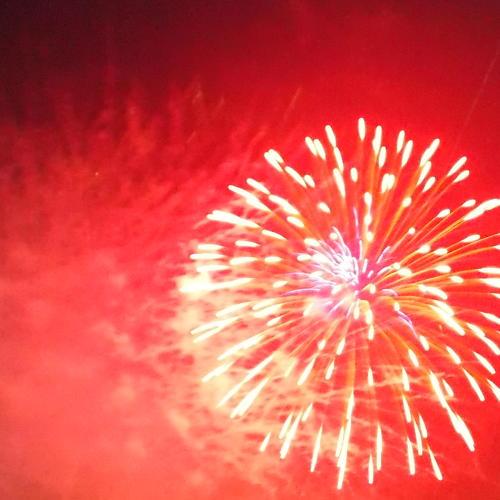 Photo #3635636