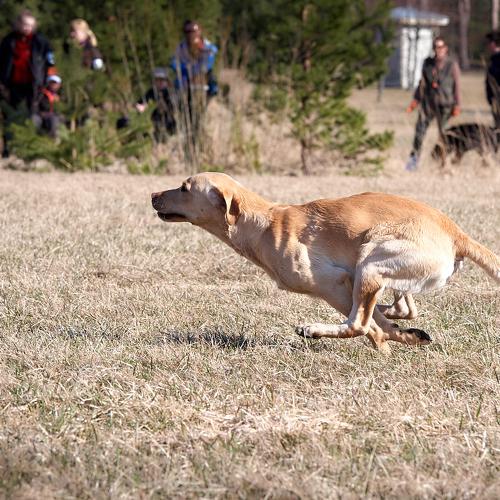Photo #3635672