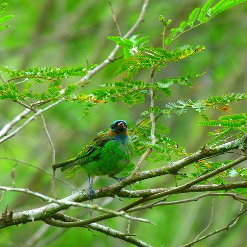 Photo #3635824