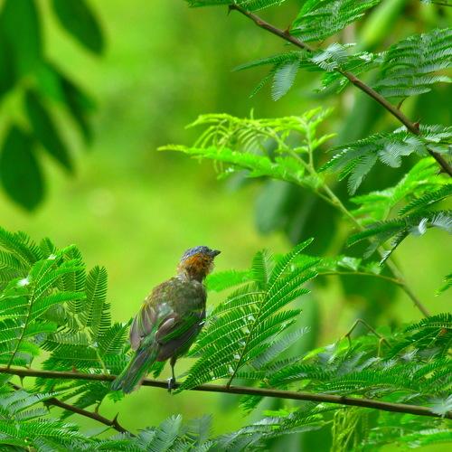 Photo #3635825