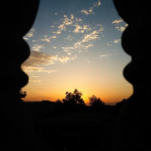 Photo #3636581