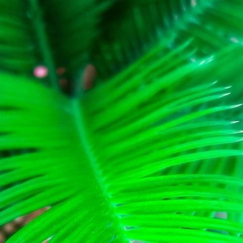 Photo #3636604