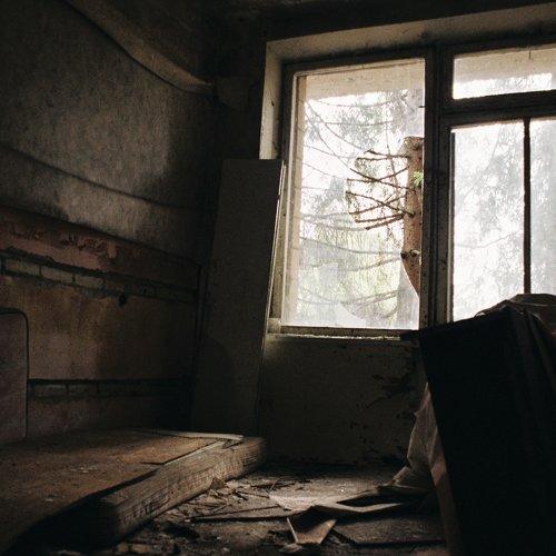Photo #3636612