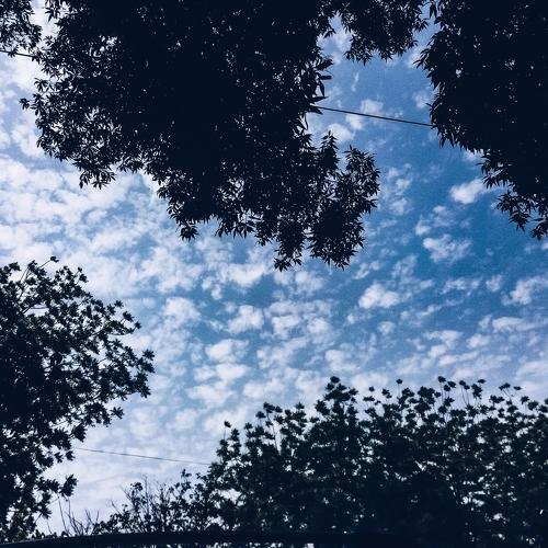 Photo #3636642
