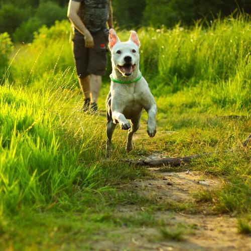 Photo #3636757