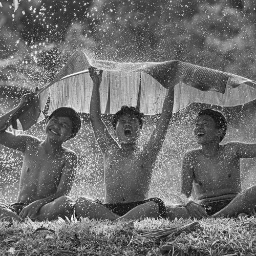 Photo #3637153