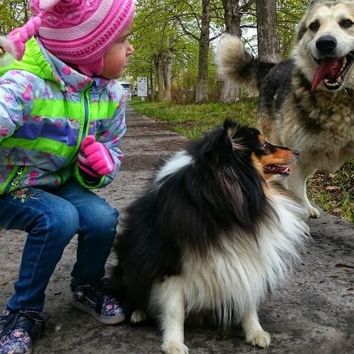 Photo #3637326
