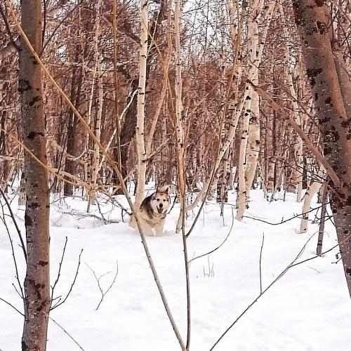 Photo #3637351