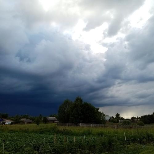 Photo #3637454