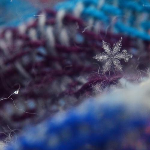 Photo #3638552