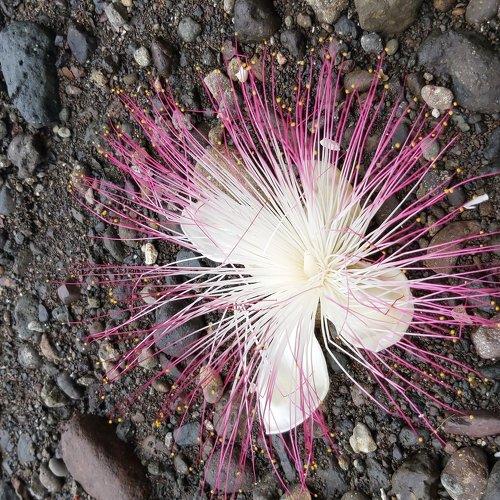 Photo #3638857
