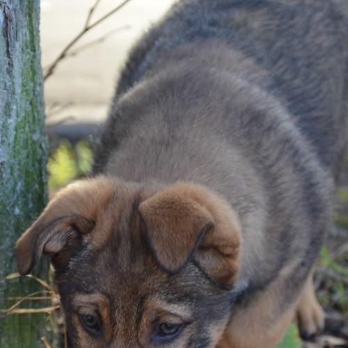 Photo #3638918