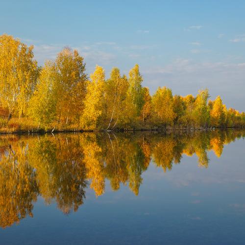 Photo #3638928