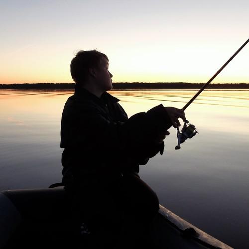 Photo #3639164
