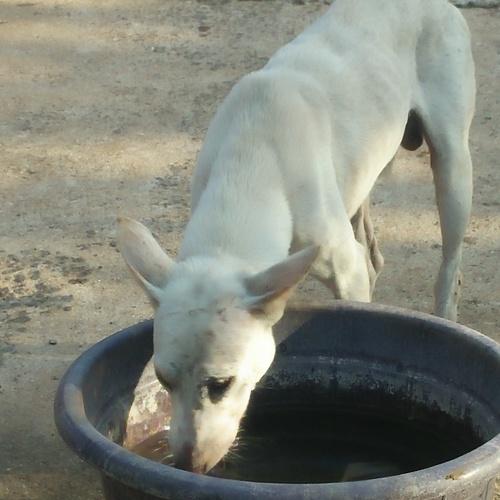 Photo #3639208