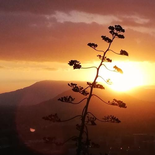 Photo #3639236
