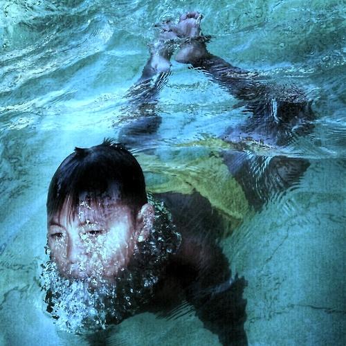 Photo #3639311