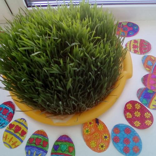 Photo #3639669