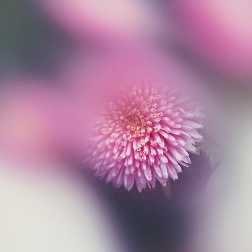 Photo #3639800