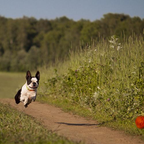 Photo #3639997
