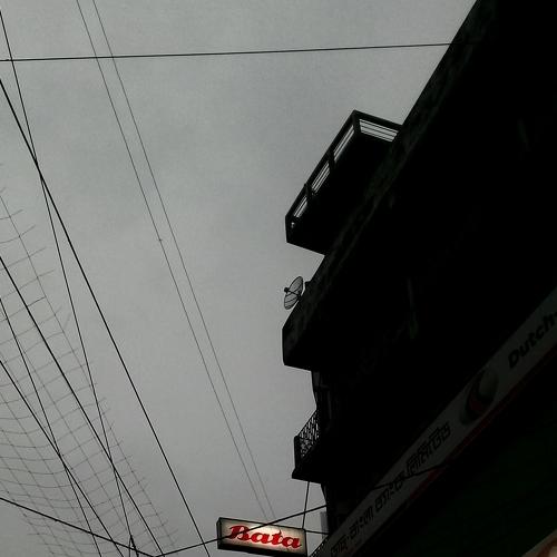 Photo #3640246