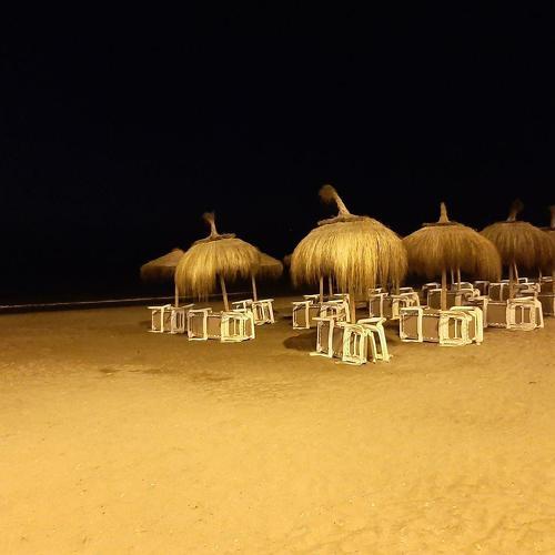 Photo #3640676