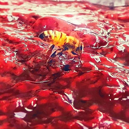 Photo #3640823