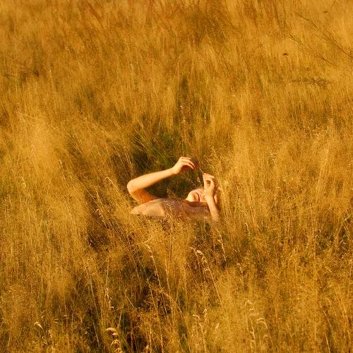 Photo #3640975